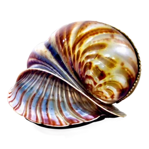 Clam With Shiny Pearl Png Ptb97 PNG image