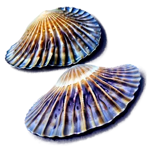 Clam With Starfish PNG 67 PNG