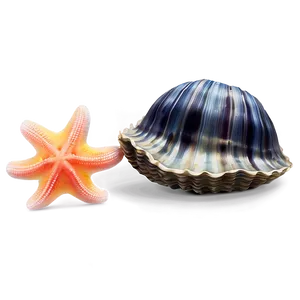 Clam With Starfish PNG Jnm