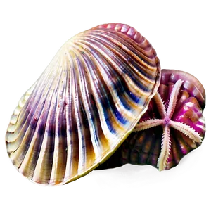 Clam With Starfish PNG Lyx88 PNG