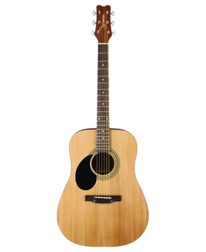 Classic Acoustic Guitar