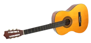 Classic Acoustic Guitar