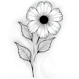 Classic Black And White Floral Png 06282024 PNG image