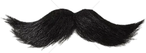 Classic Black Moustache Illustration PNG image