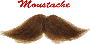 Classic Brown Moustache PNG image