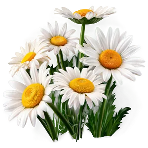 Classic Daisy Clipart Png 58 PNG image