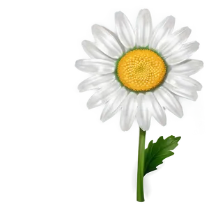 Classic Daisy Clipart PNG 84 PNG