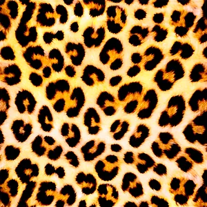 Classic Leopard Print Png 06252024 PNG image