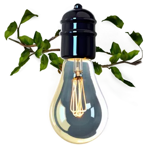 Classic Lightbulb Png 05242024 PNG image