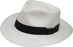Classic Panama Hat PNG image