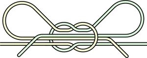 Classic Shoelace Bow Knot Illustration PNG