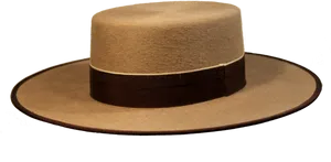 Classic Sombrero Hat PNG image