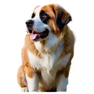 Classic St Bernard Pose PNG 06292024 PNG