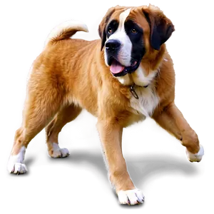Classic St Bernard Pose PNG Cpo PNG