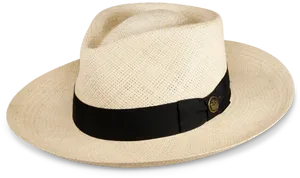 Classic Straw Hatwith Black Band PNG