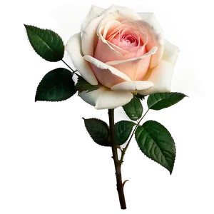 Classic Vintage Rose PNG 2