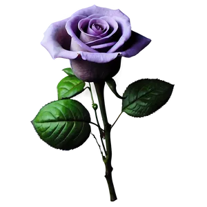 Classic Vintage Rose PNG Iee