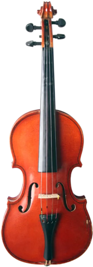 Classic Violin Front View PNG image