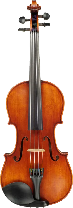 Classic Violin Portrait PNG image