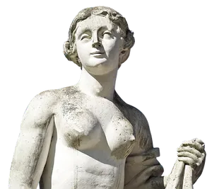 Classical Marble Statue Torso