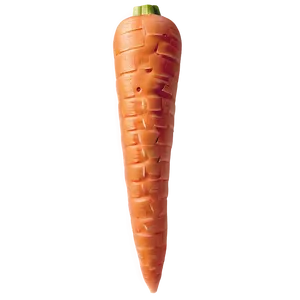 Clean Carrot PNG Ssc