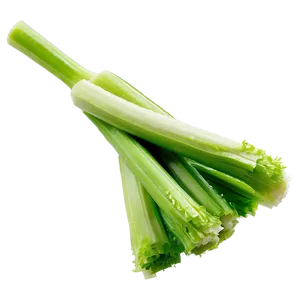 Cleaned Celery Stick PNG Jvh98 PNG