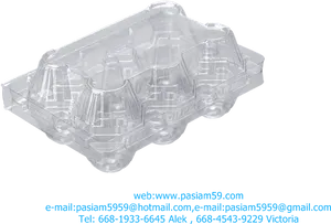 Clear Plastic Egg Carton PNG image