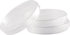 Clear Plastic Petri Dishes