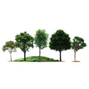 Clear Sky Tree Line PNG Poy PNG