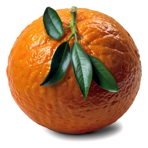 Clementine Oranges Png 18 PNG image