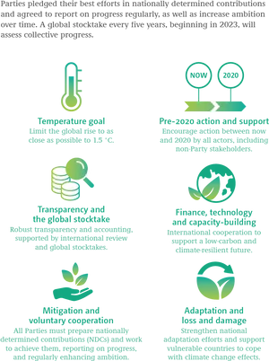 Climate_ Action_ Infographic PNG image