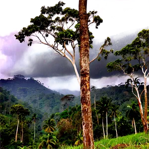 Climate Change And Deforestation Png Bmx PNG image