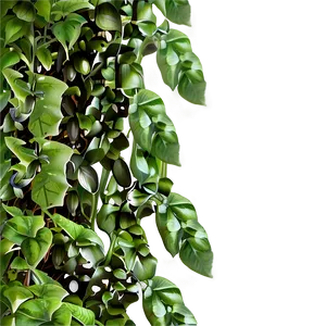Climbing Plant Png 05032024 PNG image