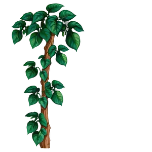 Climbing Plant PNG 05032024