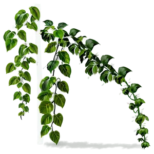 Climbing Plants Png 45 PNG image