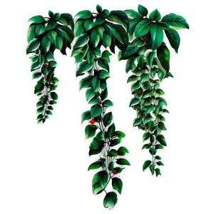 Climbing Plants Png Ily PNG image