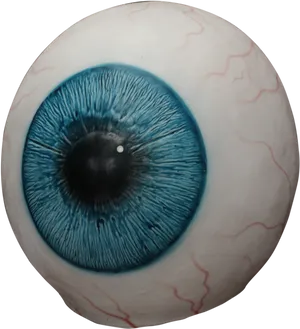 Close Up Blue Human Eyeball PNG image