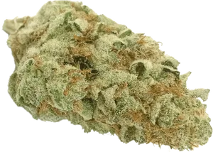Close Up Cannabis Bud Quality PNG image