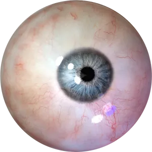 Close Up Human Eye Detail PNG image