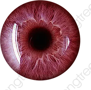 Close Up Human Eye Red Tint PNG image