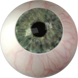 Close Up Human Iris PNG image