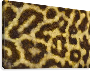 Close Up Leopard Skin Pattern PNG image