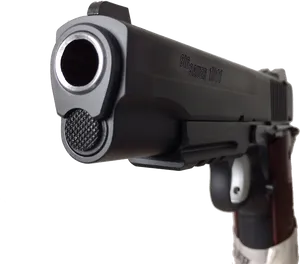 Close Up Sig Sauer1911 Pistol