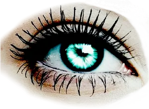 Closeup Blue Eye Makeup