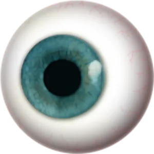 Closeup Blue Human Eyeball PNG image