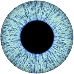 Closeup Blue Human Iris PNG image