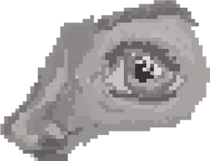 Closeup Chameleon Eye Pixel Art PNG