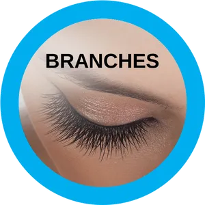 Closeup Eye With Long Lashes PNG image