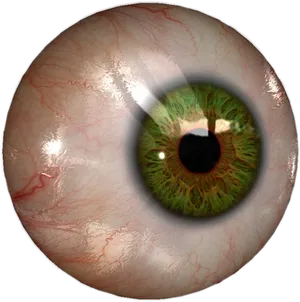 Closeup Green Human Eye