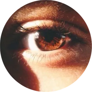 Closeup Human Eye Brown Iris